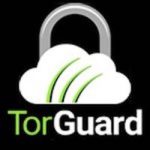 Torguard best vpns