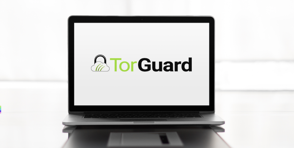 torguard fire tv