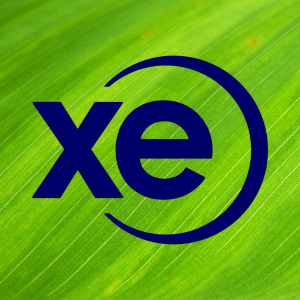 XE.com Review