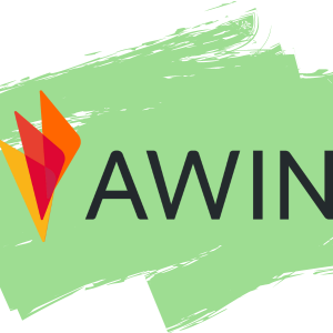 awin review