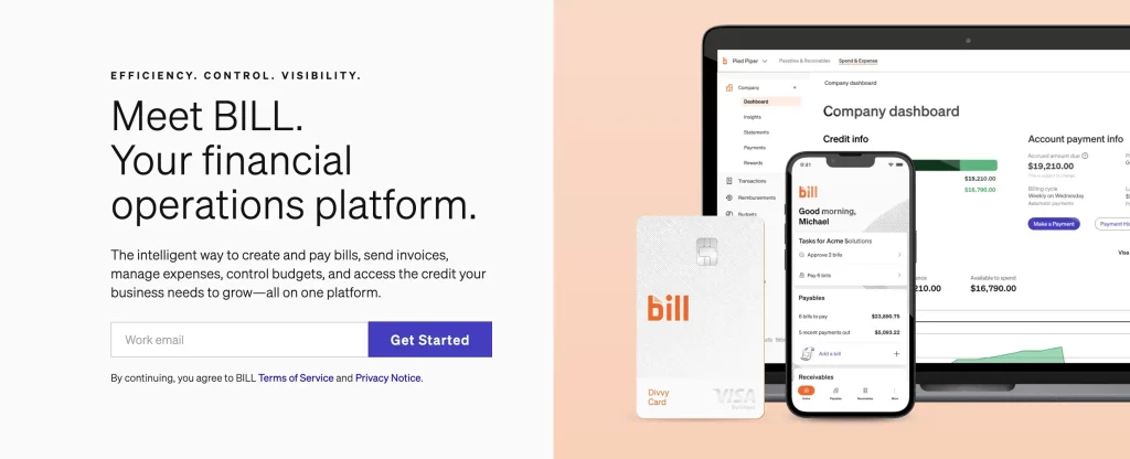 2. BILL AI Accounting Tool